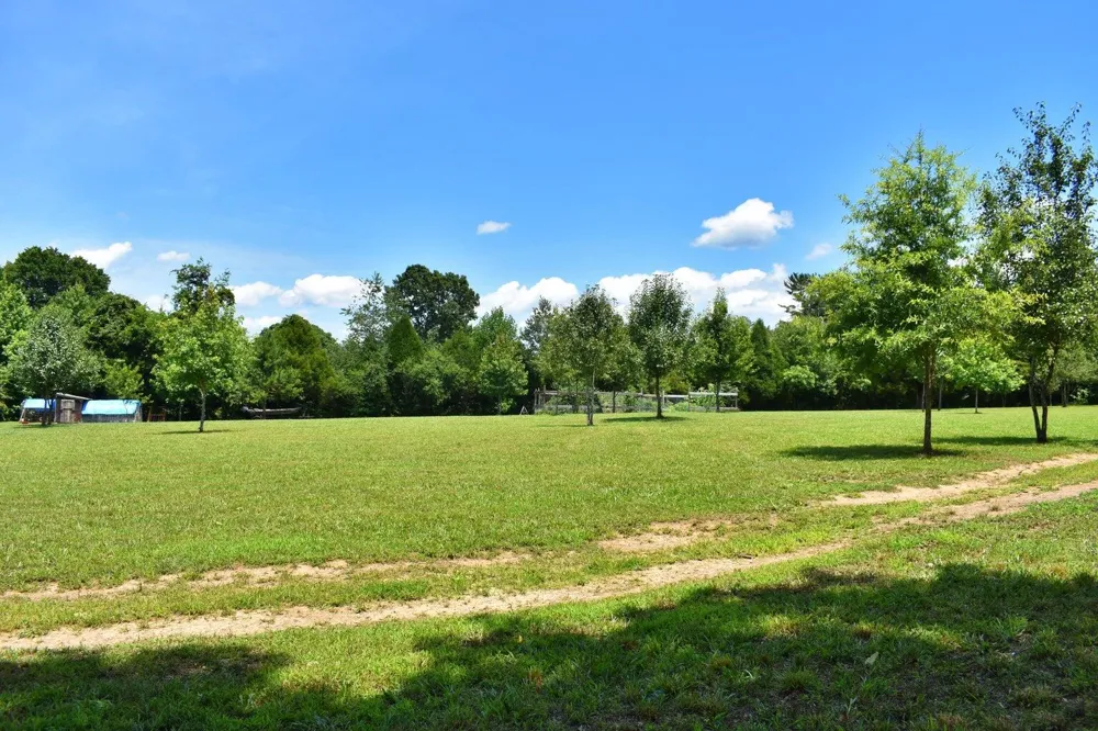 5858 Wolf Creek Road Spring City, TN 37381
