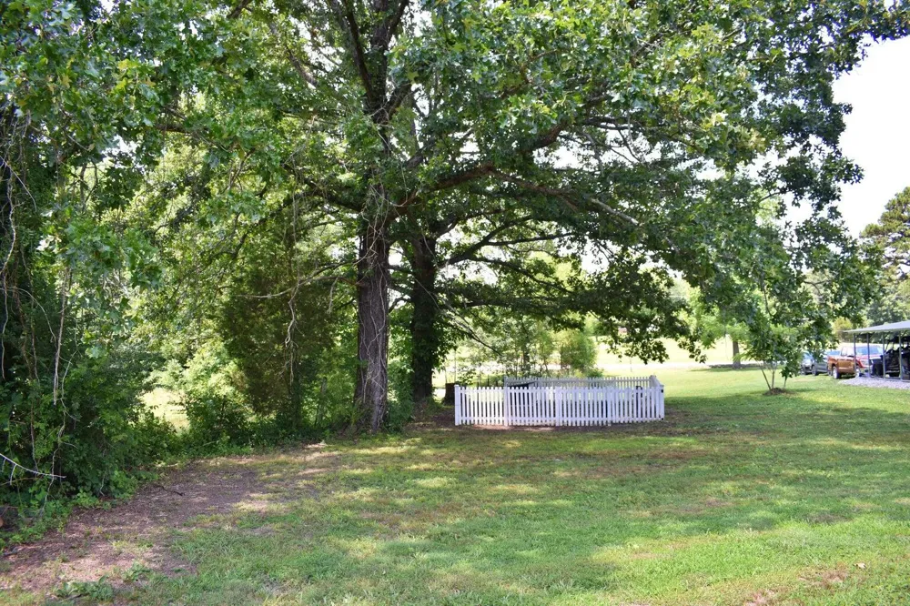 5858 Wolf Creek Road Spring City, TN 37381