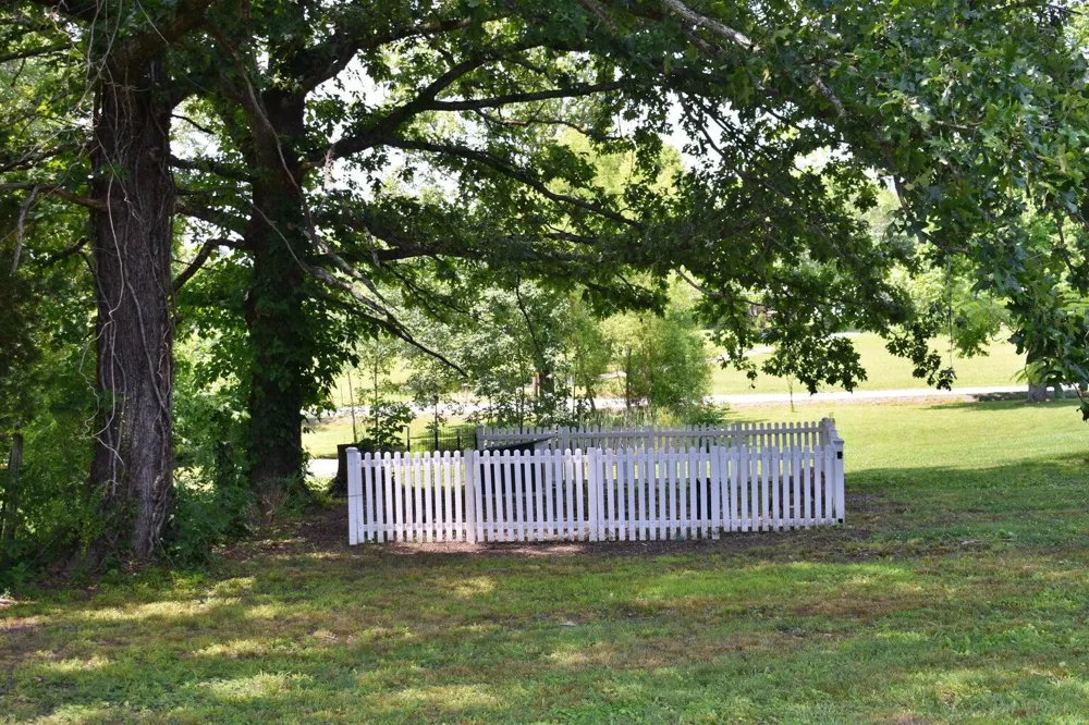 5858 Wolf Creek Road Spring City, TN 37381