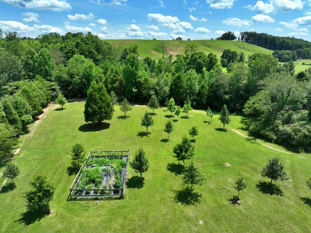 5858 Wolf Creek Road Spring City, TN 37381