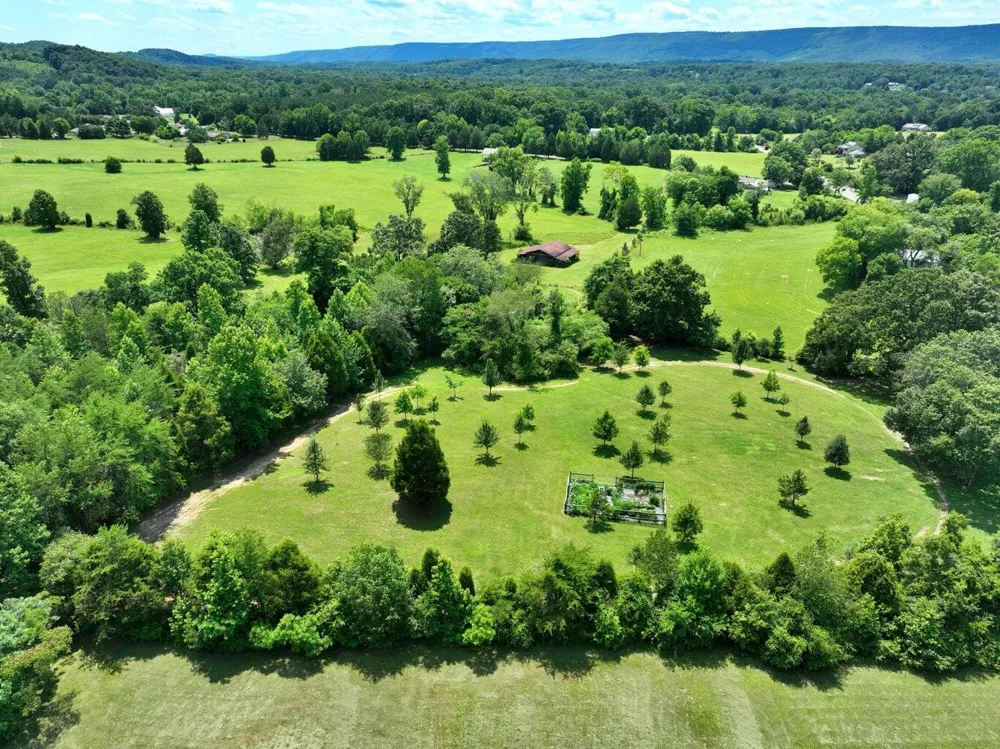 5858 Wolf Creek Road Spring City, TN 37381