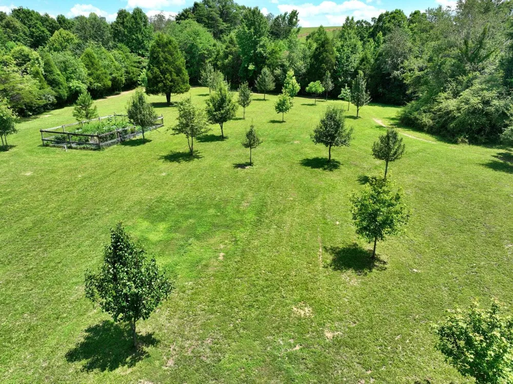 5858 Wolf Creek Road Spring City, TN 37381