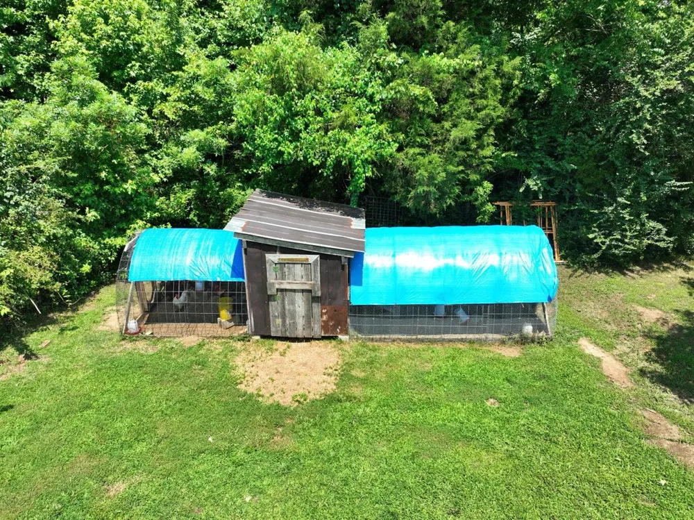 5858 Wolf Creek Road Spring City, TN 37381