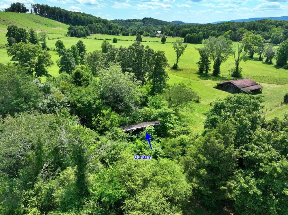 5858 Wolf Creek Road Spring City, TN 37381