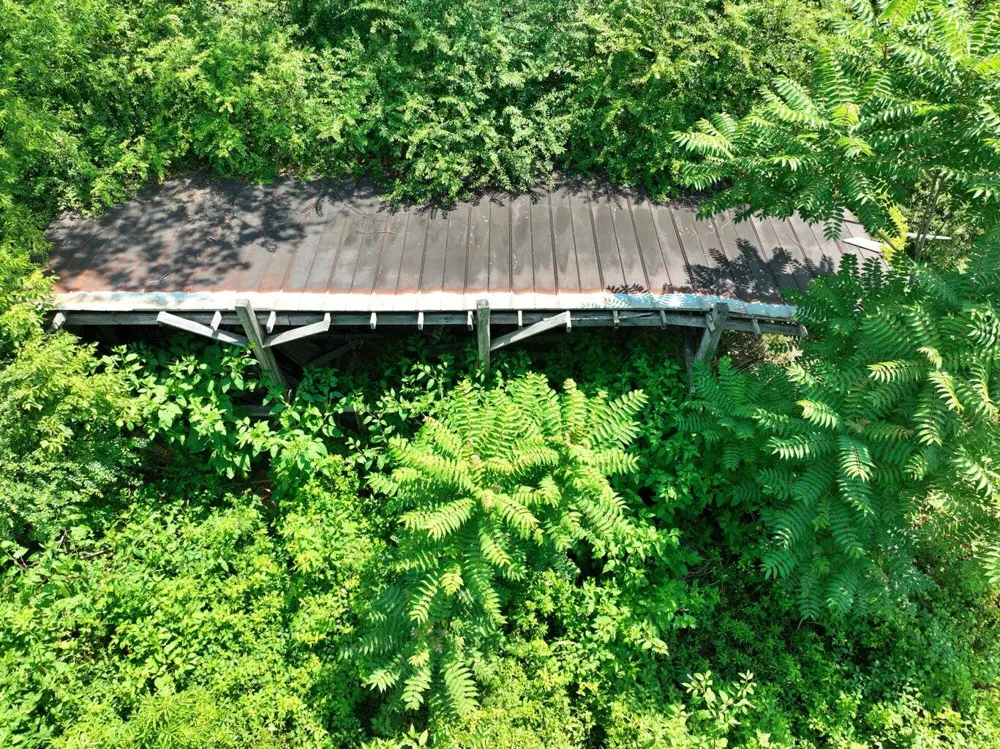 5858 Wolf Creek Road Spring City, TN 37381