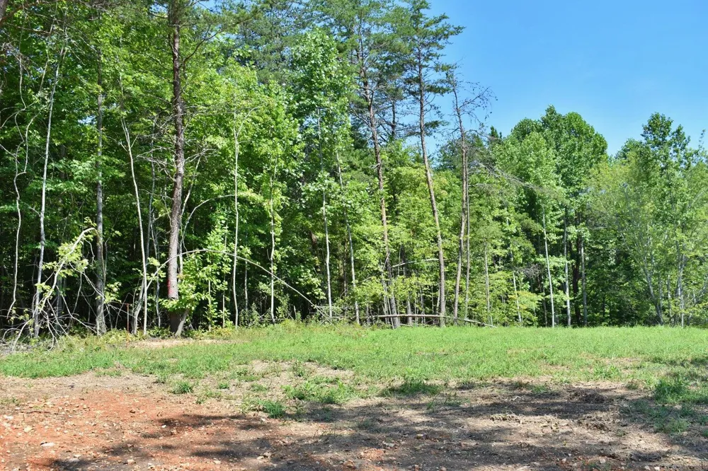521 Norton Road Ten Mile, TN 37880