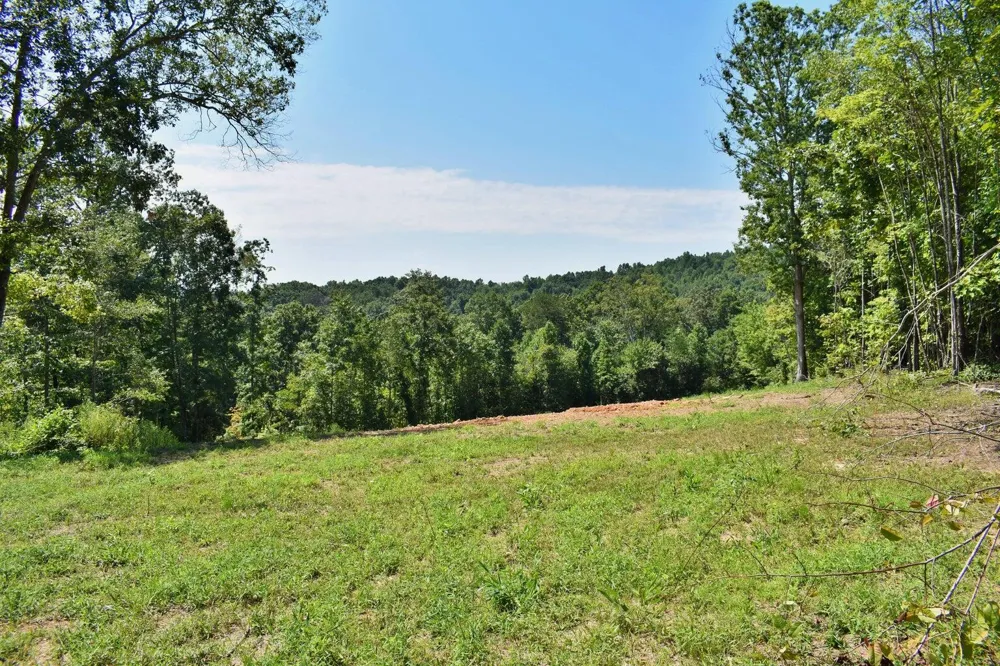 521 Norton Road Ten Mile, TN 37880
