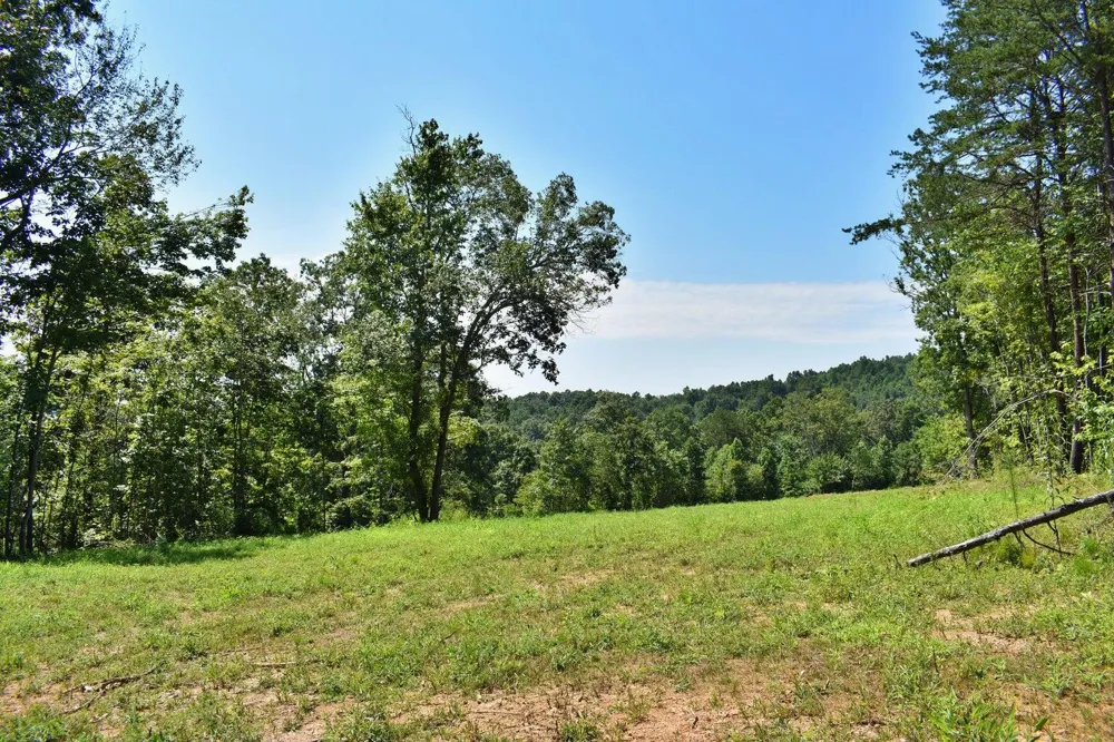 521 Norton Road Ten Mile, TN 37880