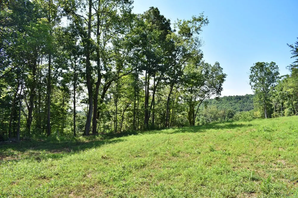 521 Norton Road Ten Mile, TN 37880