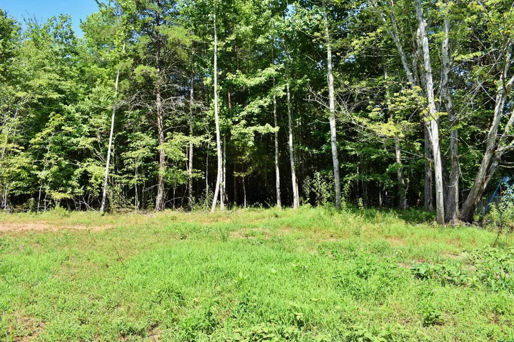 521 Norton Road Ten Mile, TN 37880