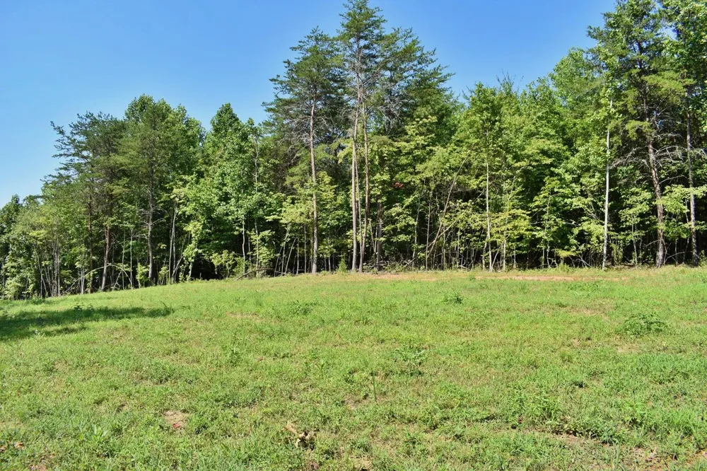521 Norton Road Ten Mile, TN 37880