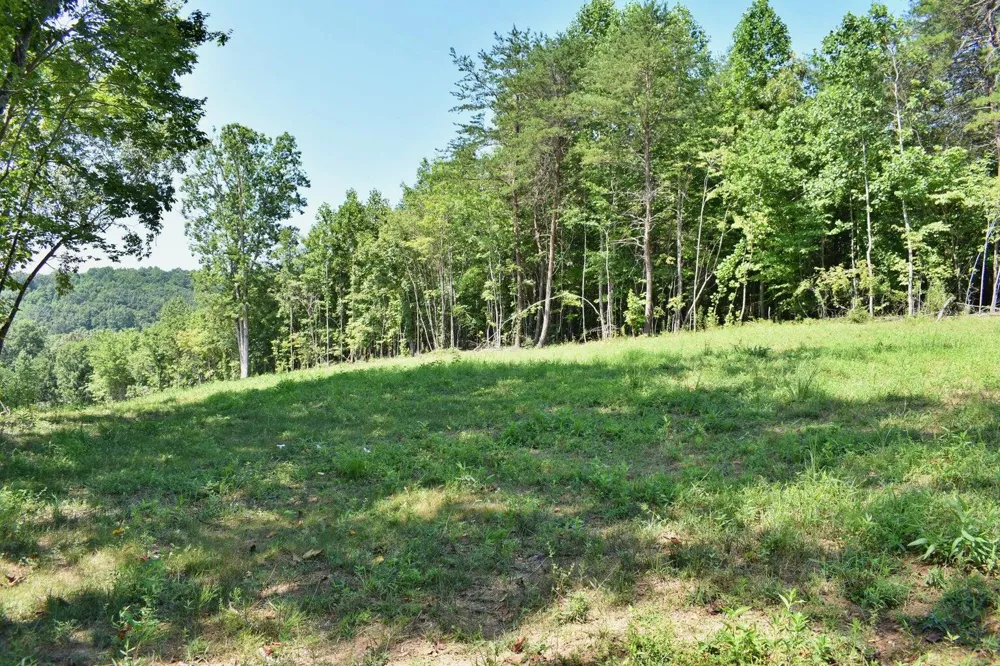 521 Norton Road Ten Mile, TN 37880