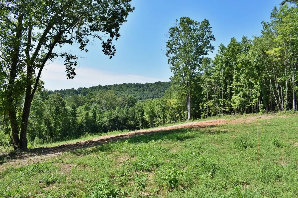 521 Norton Road Ten Mile, TN 37880