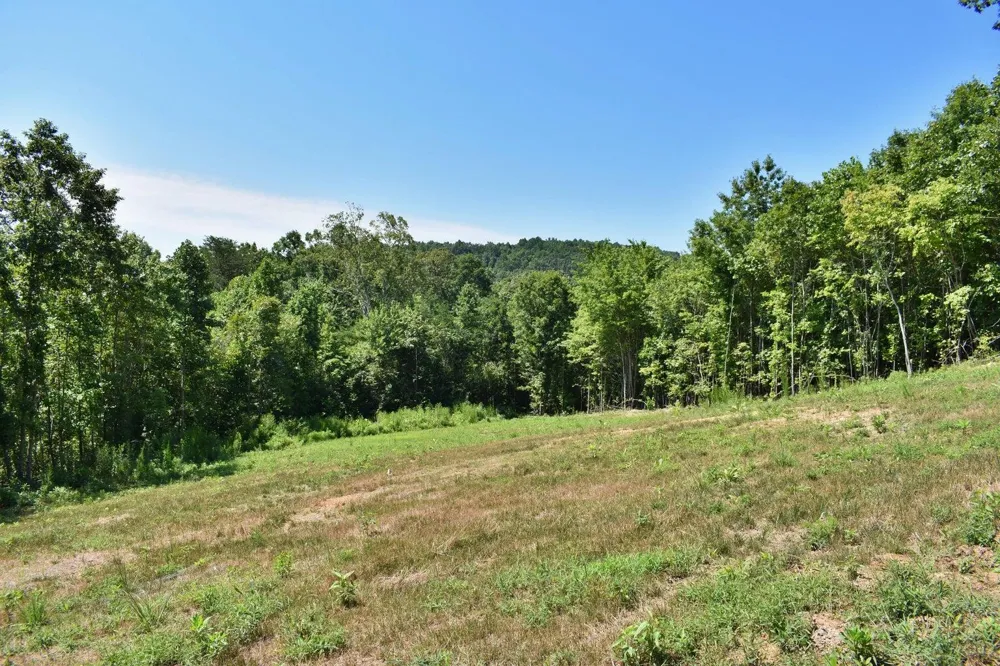 521 Norton Road Ten Mile, TN 37880