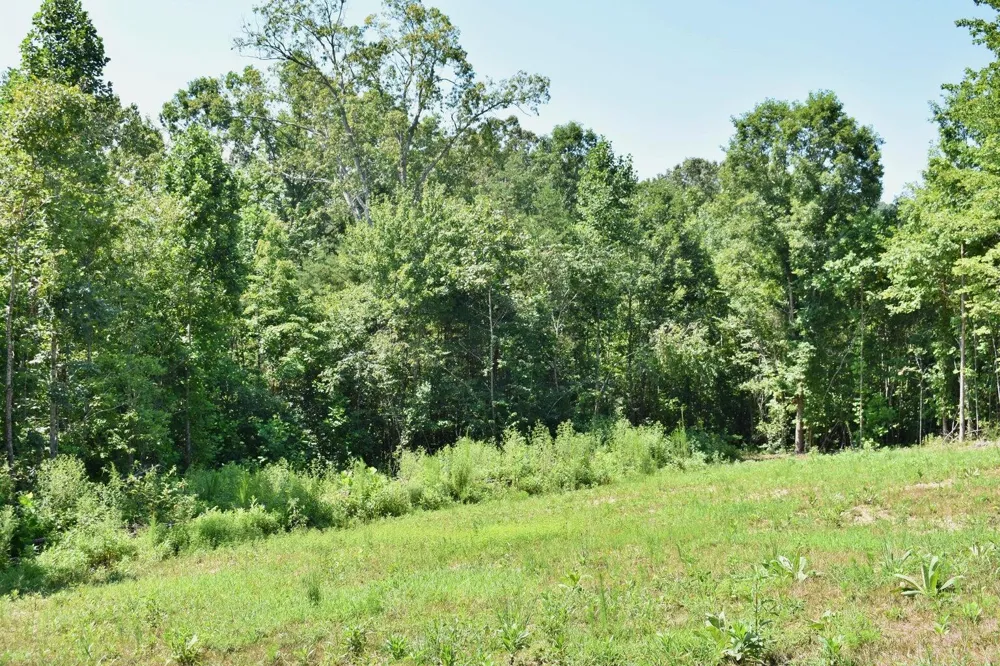 521 Norton Road Ten Mile, TN 37880