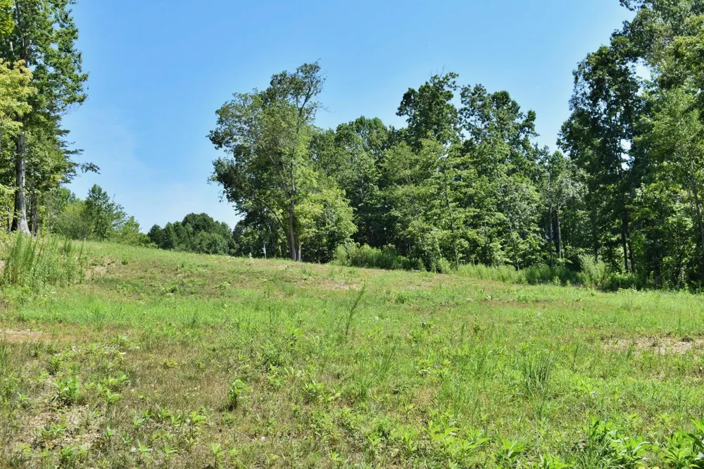 521 Norton Road Ten Mile, TN 37880