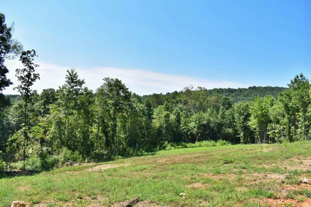 521 Norton Road Ten Mile, TN 37880