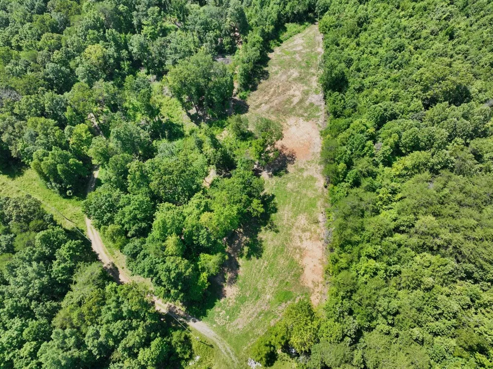 521 Norton Road Ten Mile, TN 37880