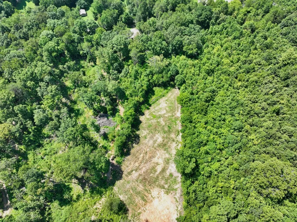 521 Norton Road Ten Mile, TN 37880