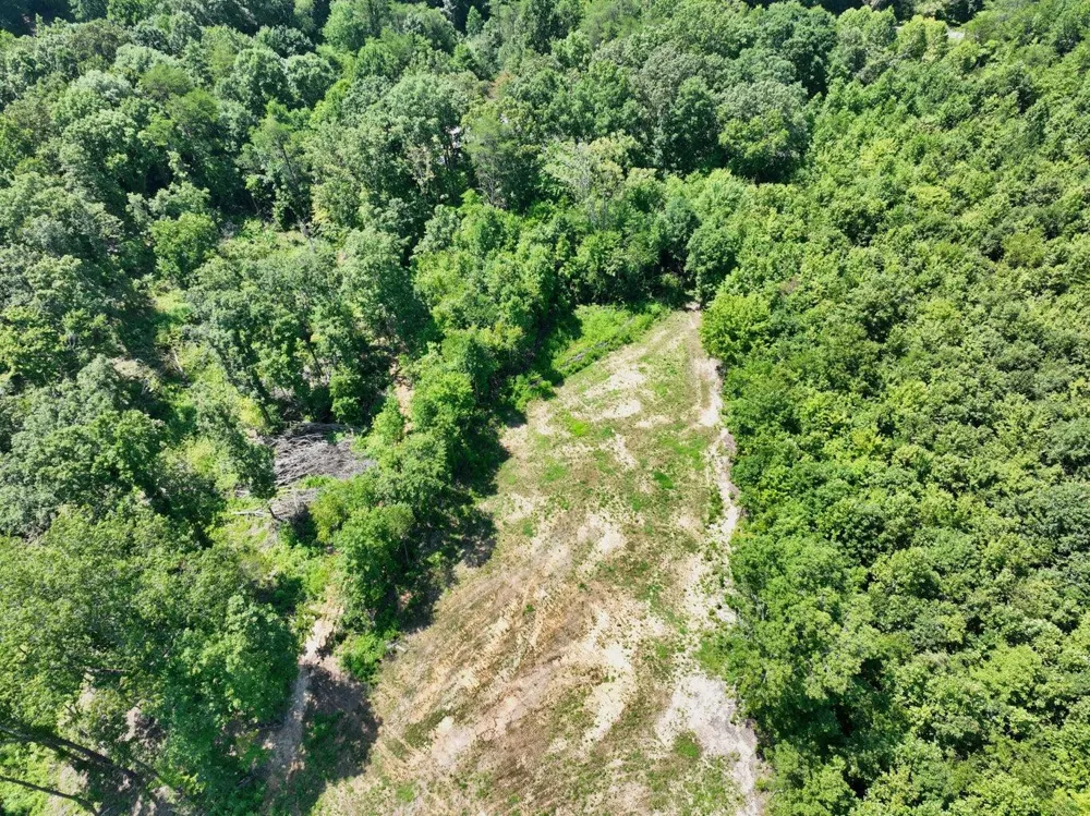 521 Norton Road Ten Mile, TN 37880