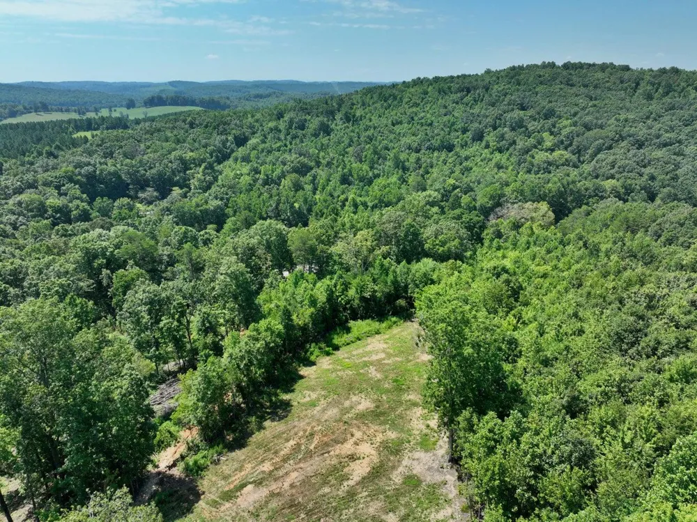 521 Norton Road Ten Mile, TN 37880