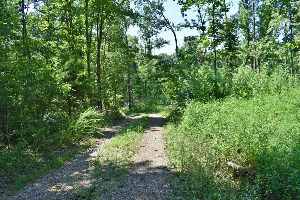 521 Norton Road Ten Mile, TN 37880