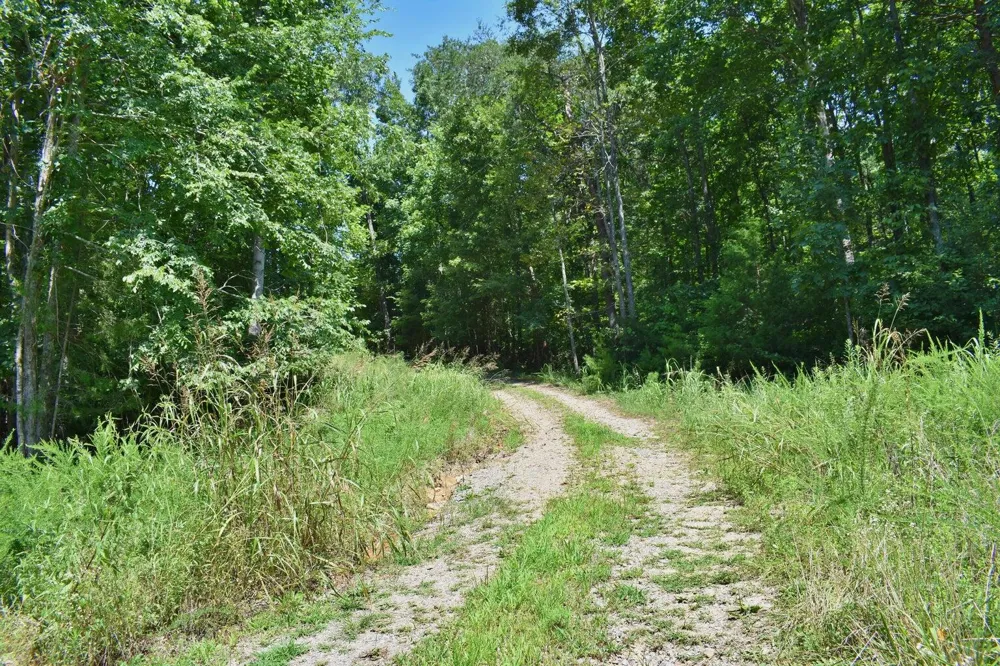 521 Norton Road Ten Mile, TN 37880