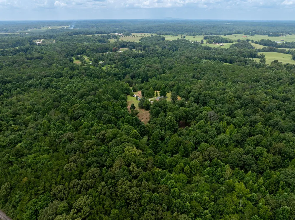 443 Paradise Ln McMinnville, TN 37110