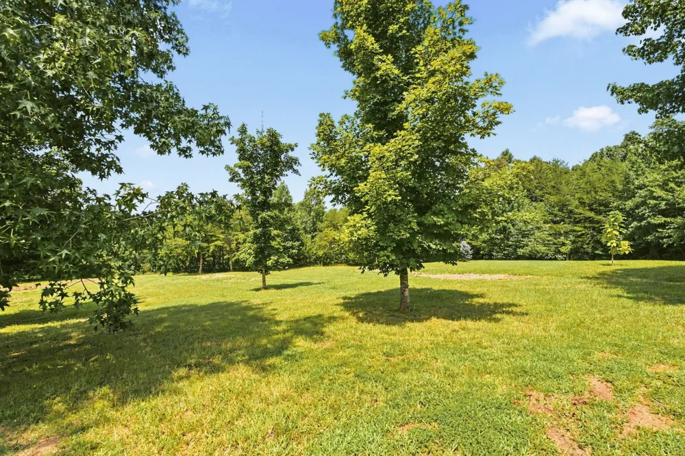 443 Paradise Ln McMinnville, TN 37110