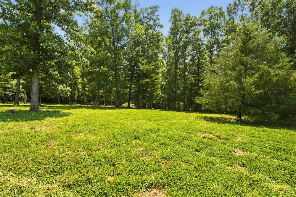 443 Paradise Ln McMinnville, TN 37110