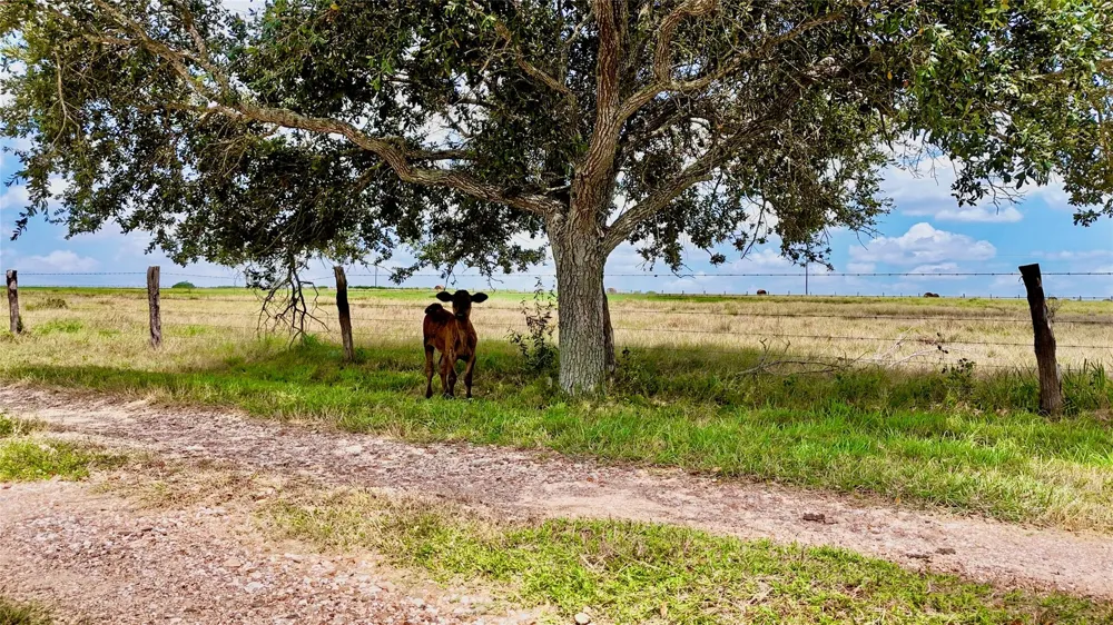 4228 County Road 256 Moulton, TX 77975