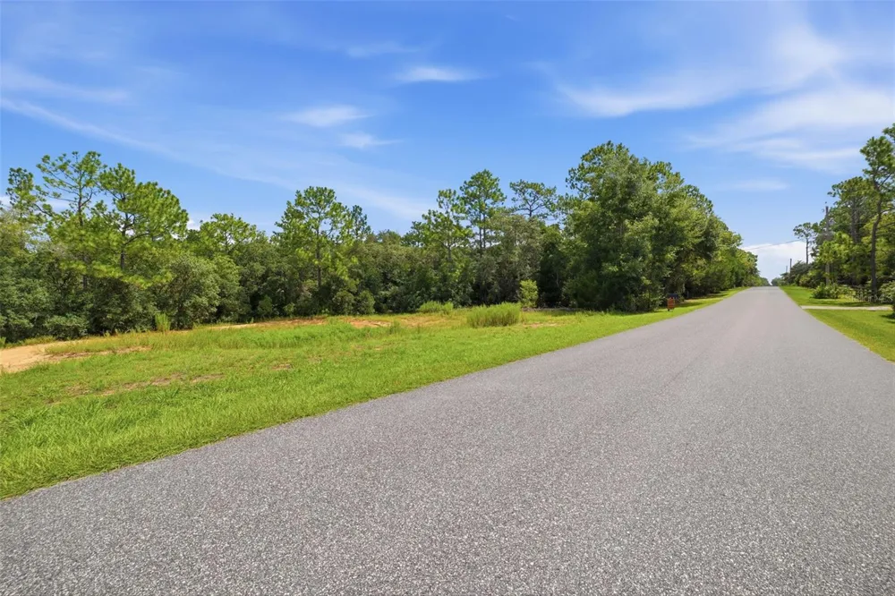1295 E RAY STREET Hernando, FL 34442