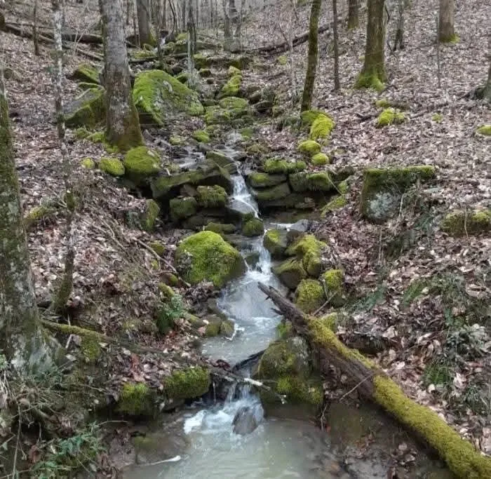 0 Hills Creek RD Mc Minnville, TN 37110