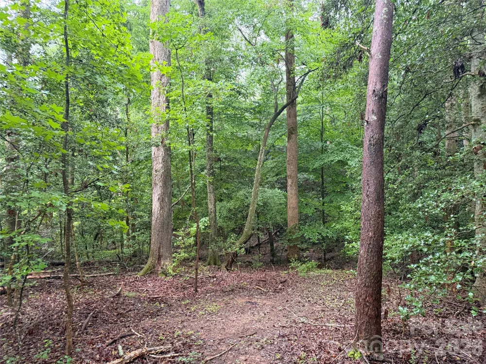 00 Whitt Road Piedmont, SC 29673