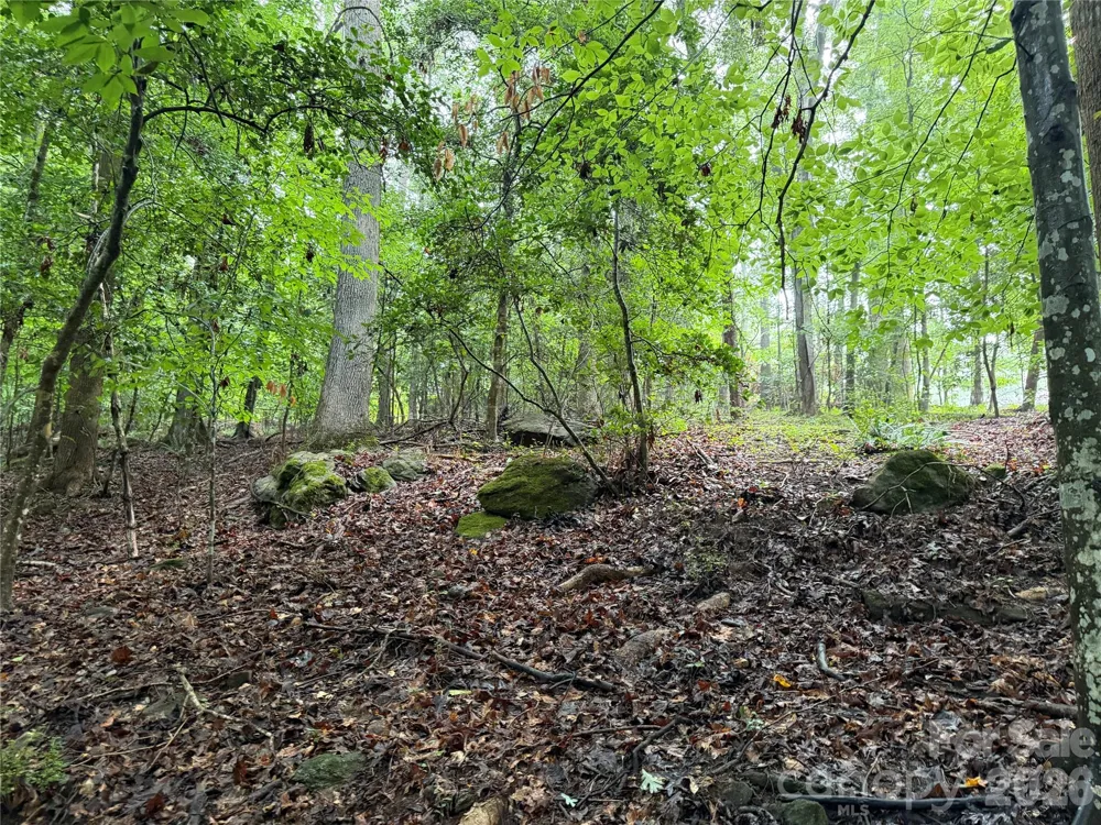00 Whitt Road Piedmont, SC 29673