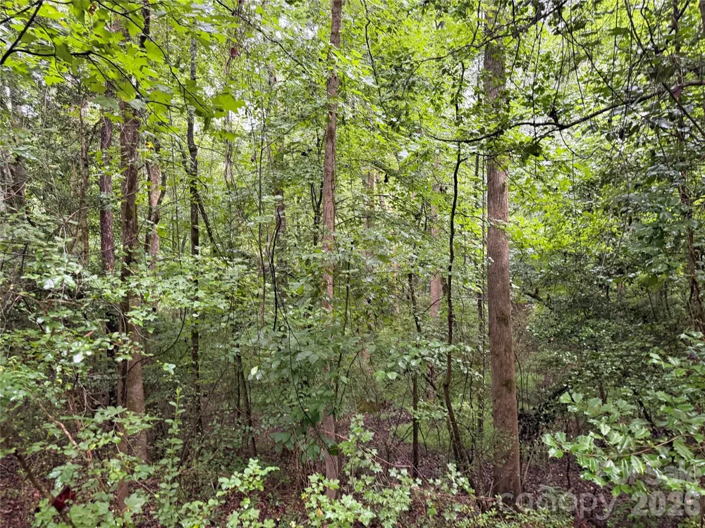 00 Whitt Road Piedmont, SC 29673