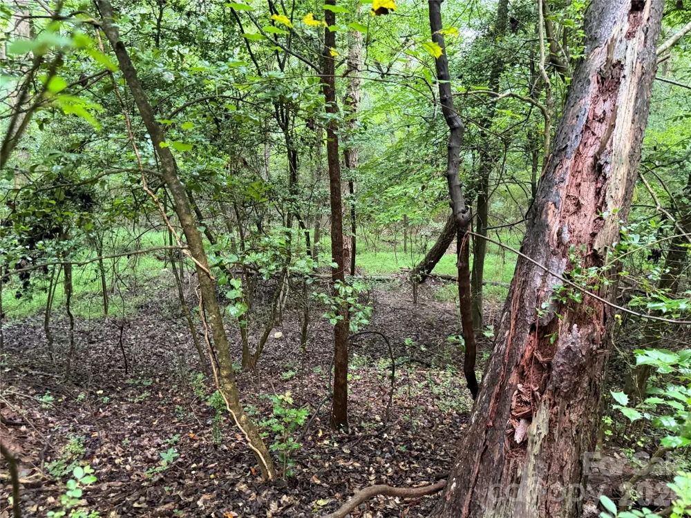 00 Whitt Road Piedmont, SC 29673