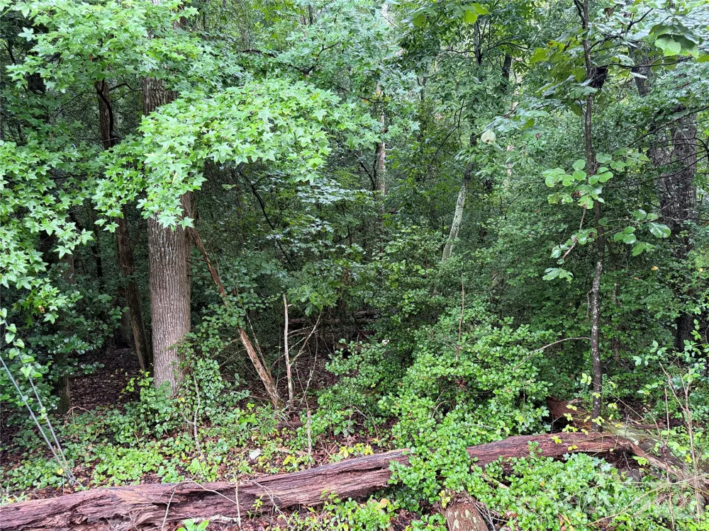 00 Whitt Road Piedmont, SC 29673