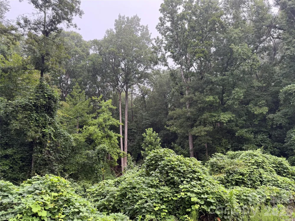 00 Whitt Road Piedmont, SC 29673