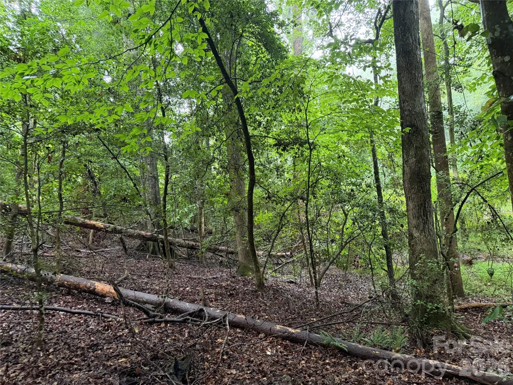 00 Whitt Road Piedmont, SC 29673