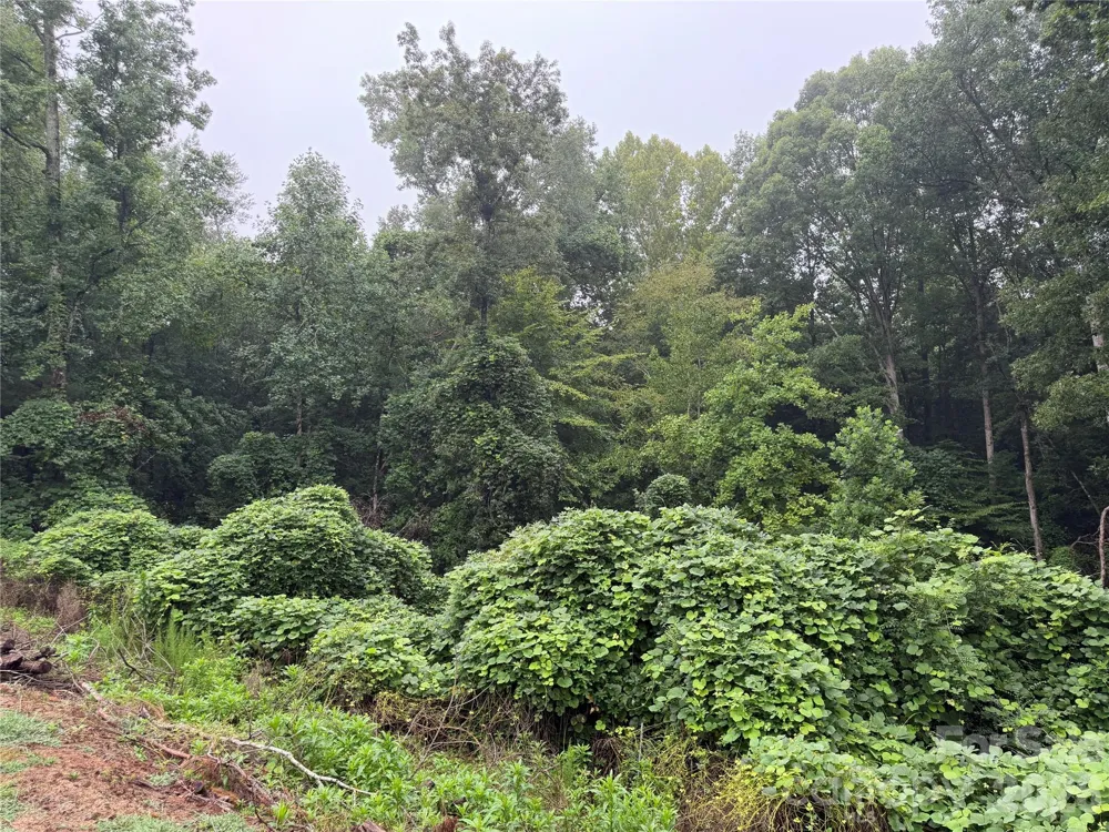00 Whitt Road Piedmont, SC 29673