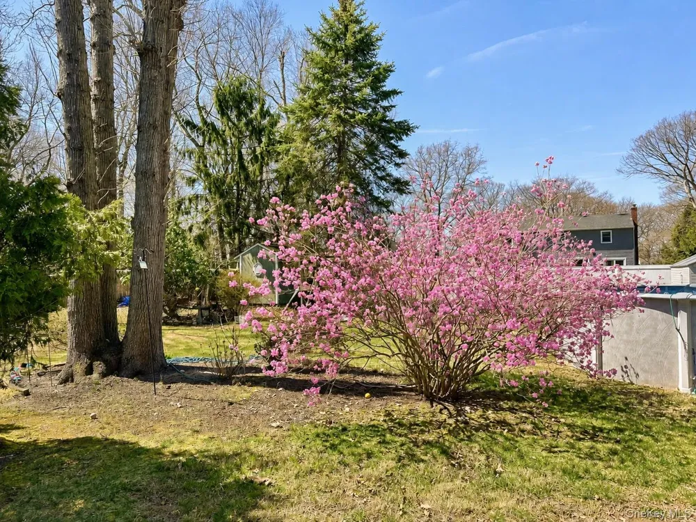 40 Glenridge Avenue Stony Brook, NY 11790