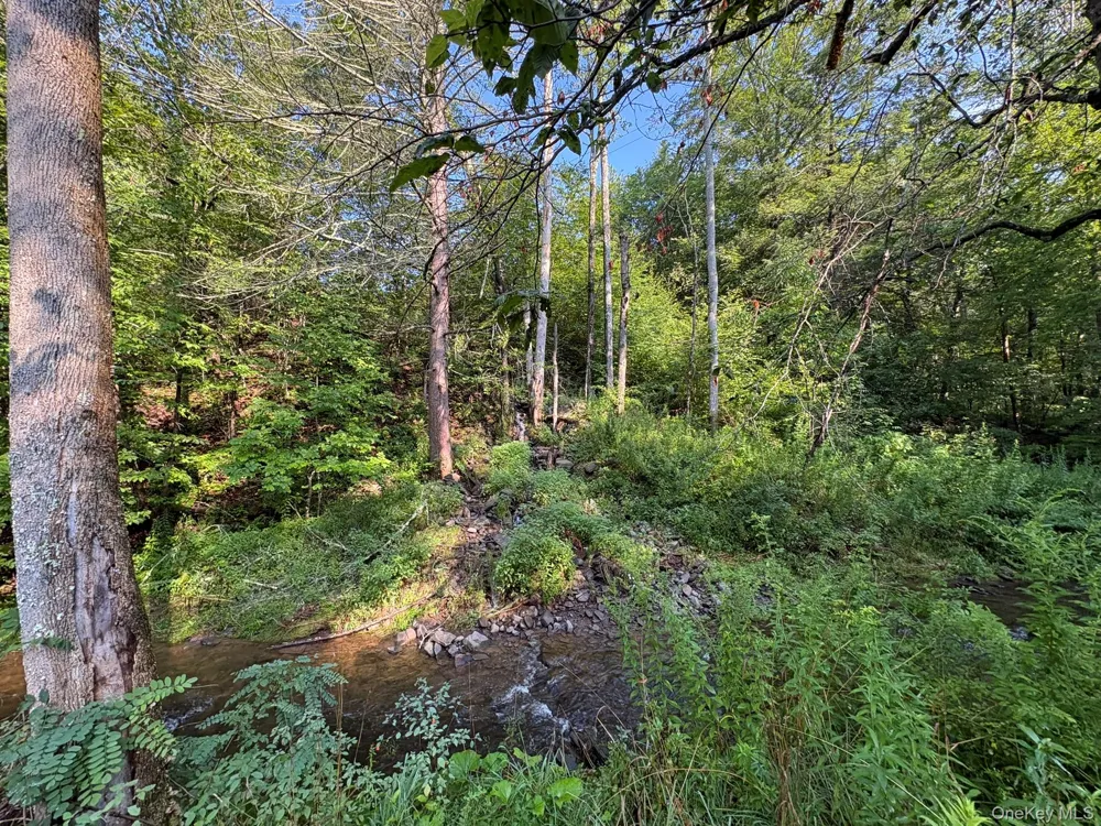 1360 Gulf Road Callicoon Center, NY 12724
