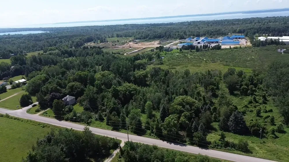 Quarterline Road Milton Township, MI 49648