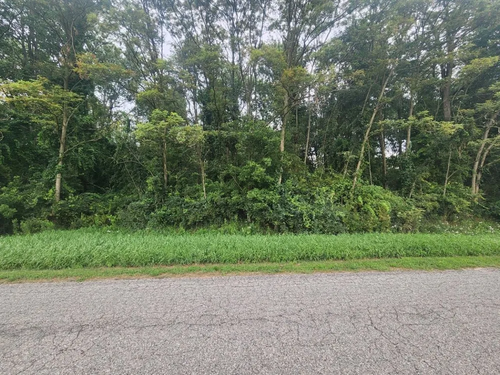 Kerry Road Manistee Township, MI 49675
