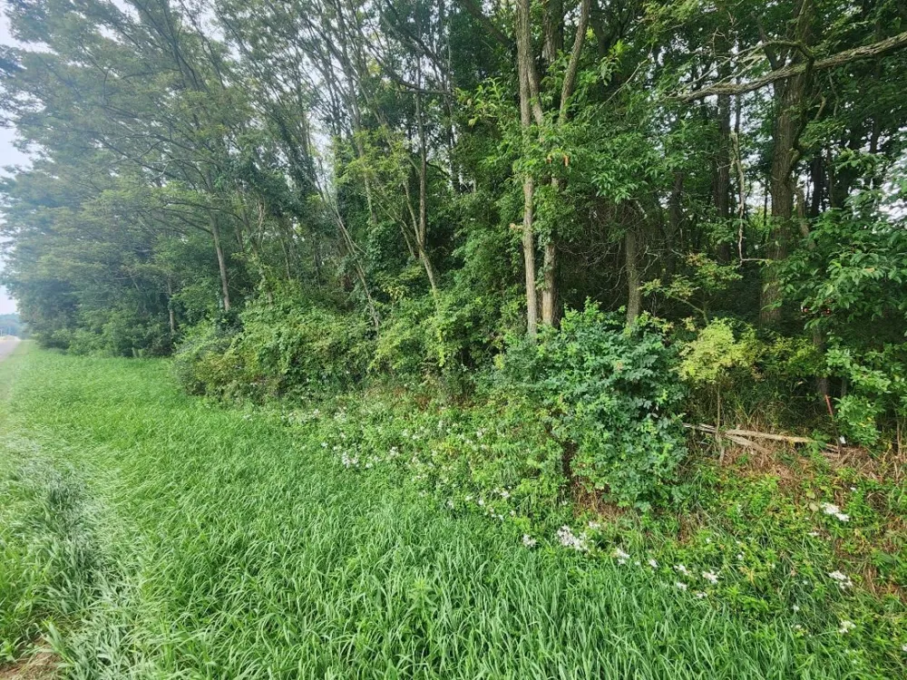 Kerry Road Manistee Township, MI 49675