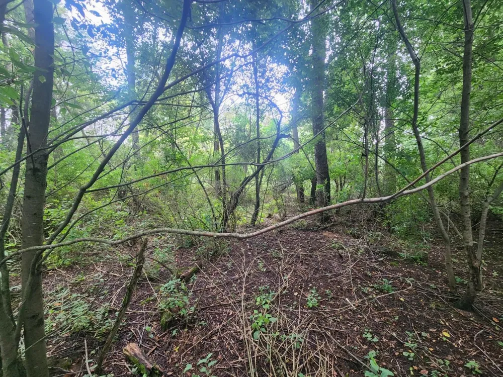 Kerry Road Manistee Township, MI 49675