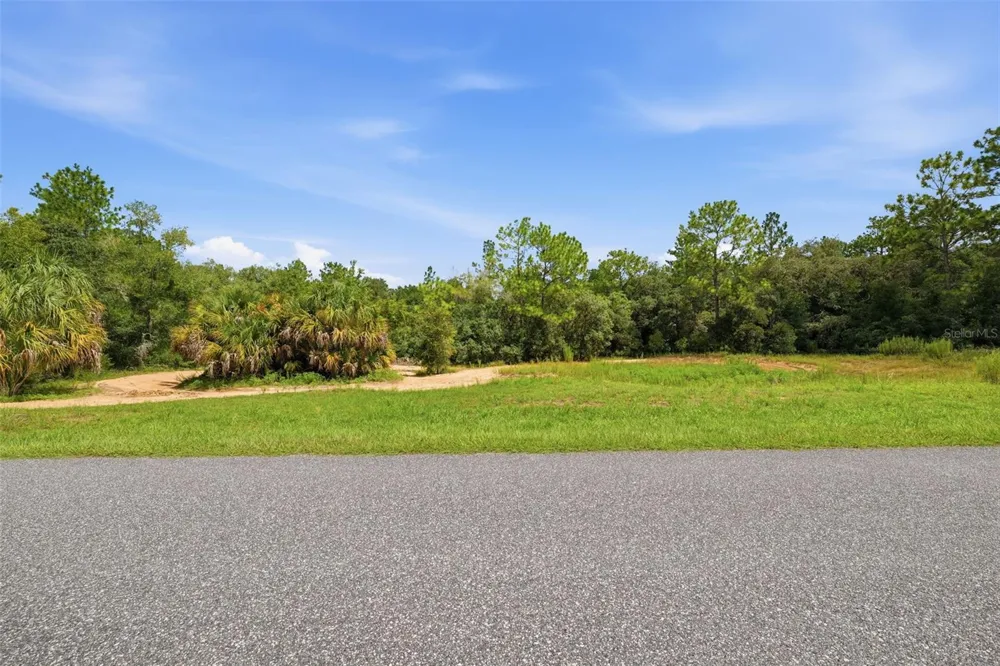 1345 E RAY STREET Hernando, FL 34442