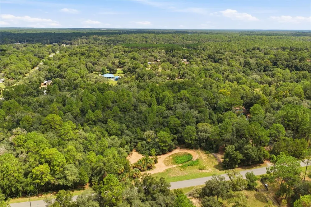 1345 E RAY STREET Hernando, FL 34442