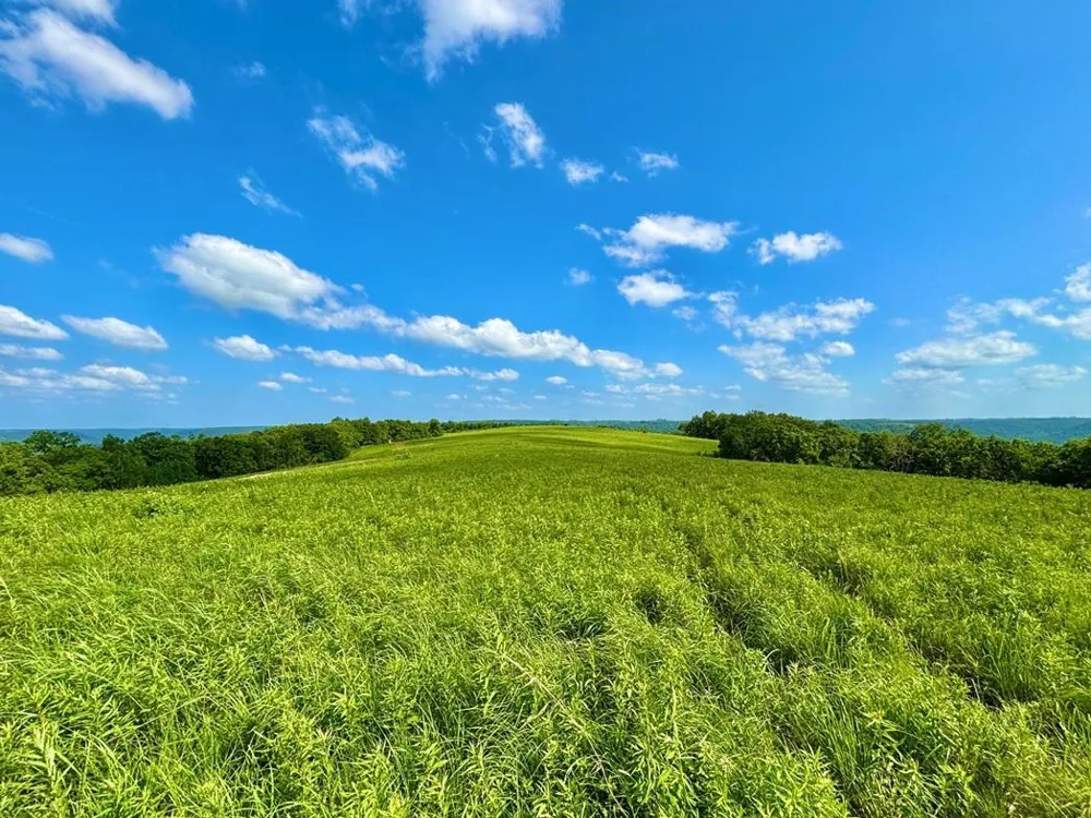 42112 State Highway 30 Rushford, MN 55971